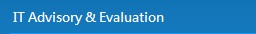 IT Advisory & Evaluation
