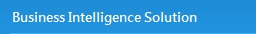 Business Intelligence Solution